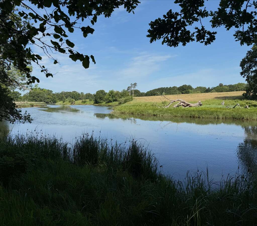 A quiet day on the Cur
